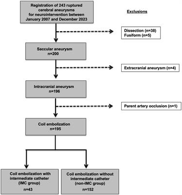 Intermediate catheter use is associated with intraprocedural rupture during coil embolization of ruptured intracranial aneurysms: a retrospective propensity score-matched study